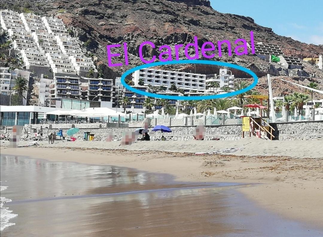 פלאיה דל קורה Apartamento El Cardenal Mick & Rosa מראה חיצוני תמונה